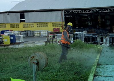Serviço de Limpeza e Jardinagem – Saint Gobain